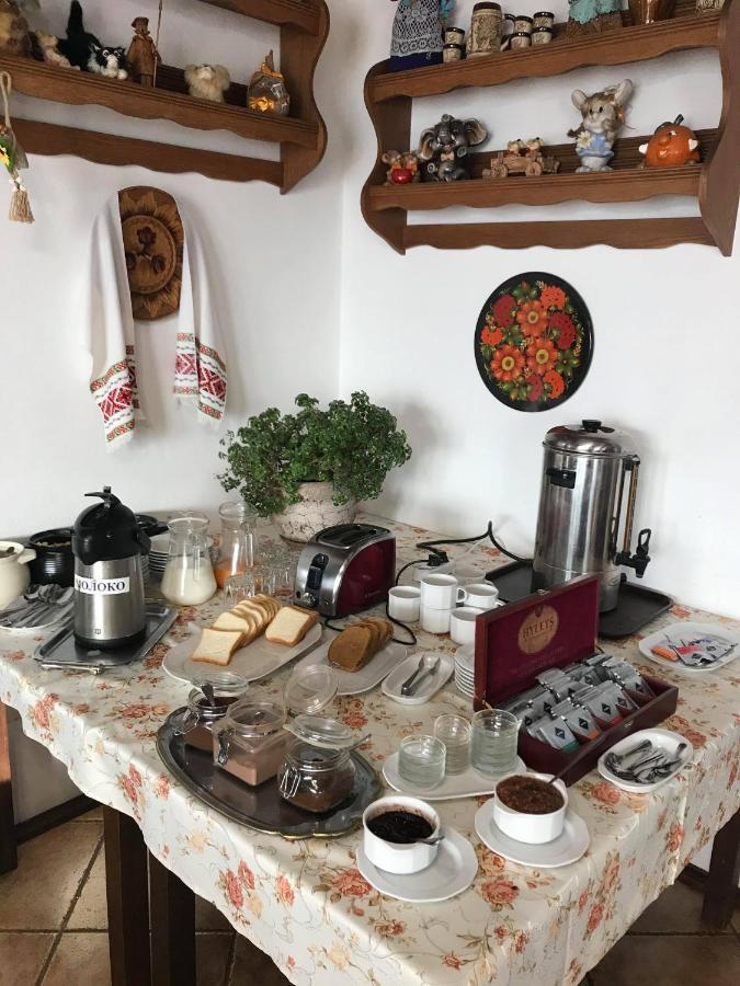 Alpenhof Pansion Hotel Slavske Buitenkant foto